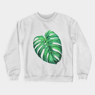 Monstera leaf tropical watercolor illustration Crewneck Sweatshirt